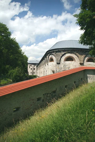 Malebný Pohled Krásnou Středověkou Pevnost Architektury — Stock fotografie