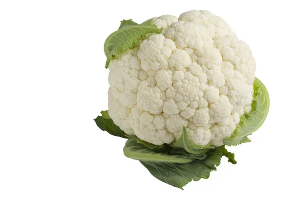 Cauliflower Exposed White Background — Stock Photo, Image