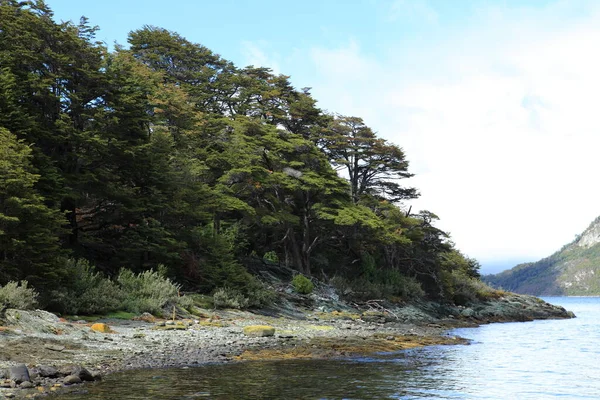 Tfaiyeciler Ulusal Parkı Yeni Zelanda Nın Güney Batısında Yer Almaktadır — Stok fotoğraf