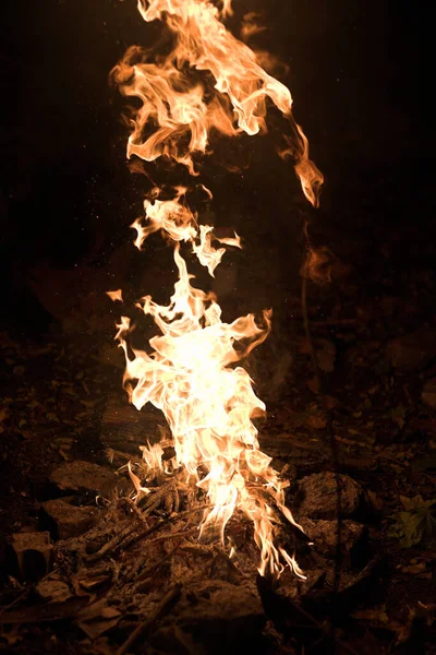 Lagerfeuer Lodernde Flamme — Stockfoto