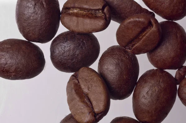 Coffee Beans Macro — Stock Photo, Image