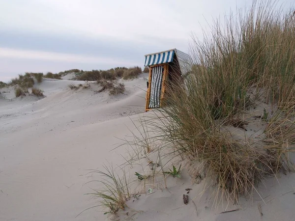 Besök Stranden Sylt — Stockfoto