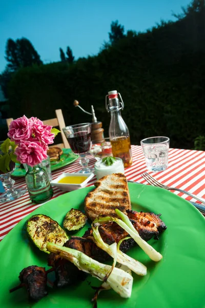 Grilled Chicken Green Outdoor Plate — Stock Photo, Image