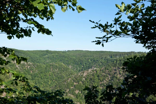 Vista Desde Caballo — Foto de Stock