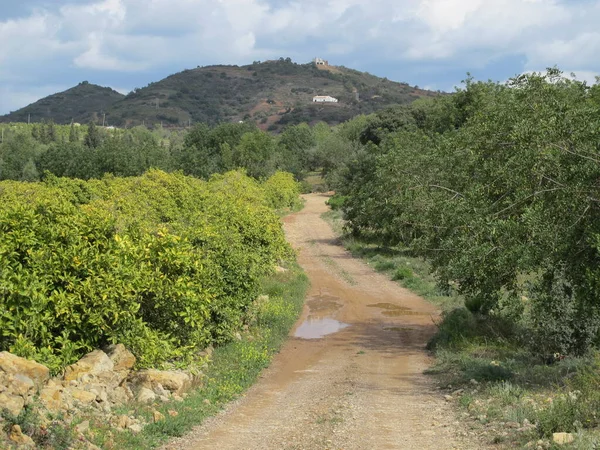 Hinterland Der Ostalgarve Portugal — Stockfoto