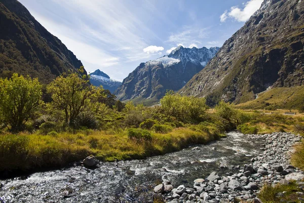 Paisagem Fjordland Nova Zelândia — Fotografia de Stock