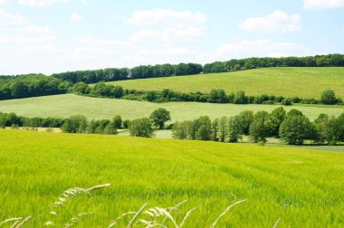 green fields,meadows and trees clipart