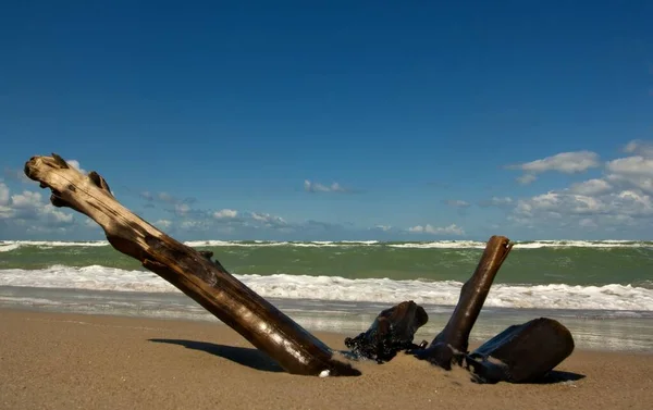 Strandwaren Tag Meer — Stockfoto