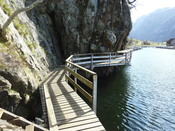 Pěšina Strmém Pobřeží Fjordu Norsku — Stock fotografie