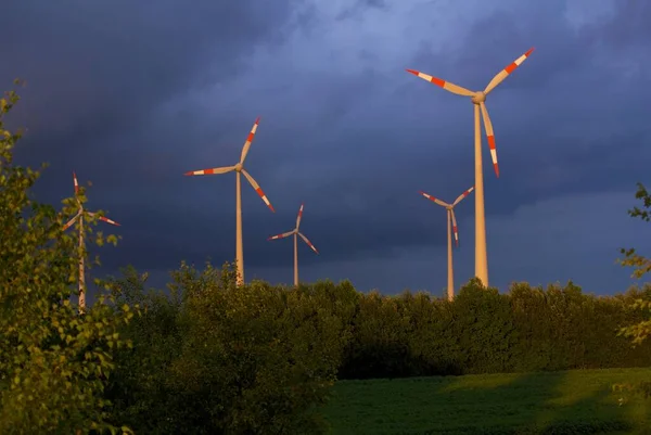 Turbinas Eólicas Molino Viento Alternativo Tecnología Eléctrica —  Fotos de Stock