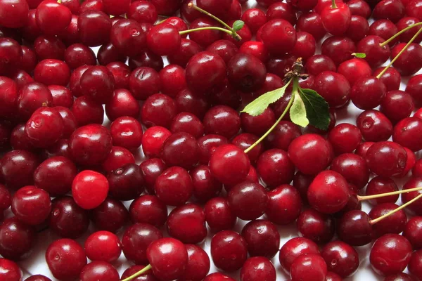 Savoureux Cerises Rouges Sur Fond Gros Plan — Photo