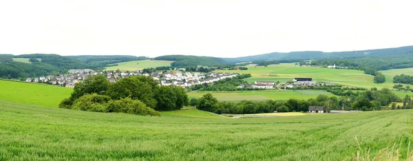Moselle Vale Outono Panorama — Fotografia de Stock