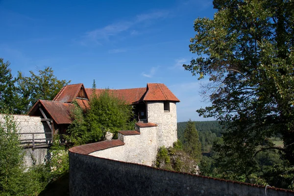 Vista Panorâmica Majestosa Arquitetura Medieval Castelo — Fotografia de Stock