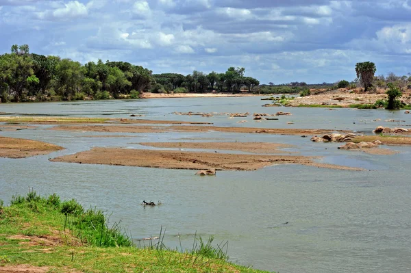 Vue Pittoresque Sur Les Paysages Campagne — Photo