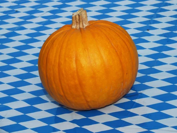 Calabaza Sobre Fondo Azul —  Fotos de Stock