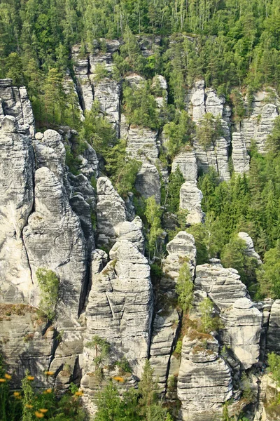 Góry Piaskowca Łaby Szwajcaria Saksońska Saksonia Niemcy — Zdjęcie stockowe