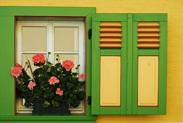 window with flowers in a green pot