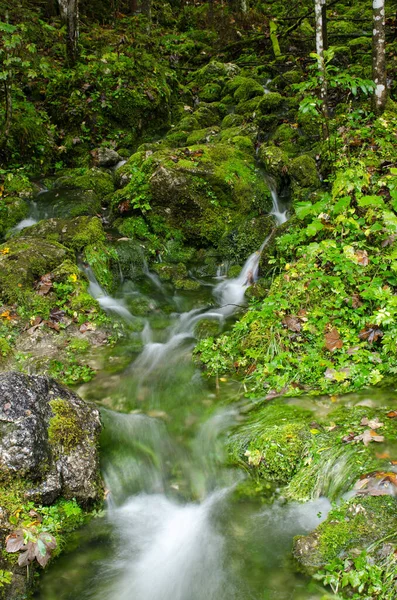 Glacier Spring Ramsau Berchtesgaden — Stock Photo, Image