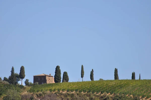 Paisaje Toscano Creta Senesi Toscana — Foto de Stock