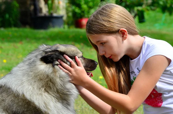 Lány Kutyával Mint Barát Játék Közben — Stock Fotó