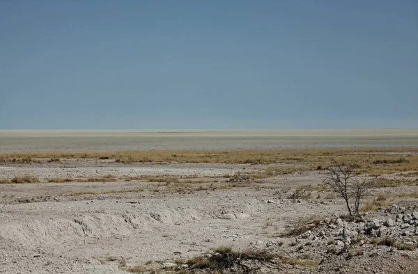 Paesaggio Deserto Morto Namibia — Foto Stock