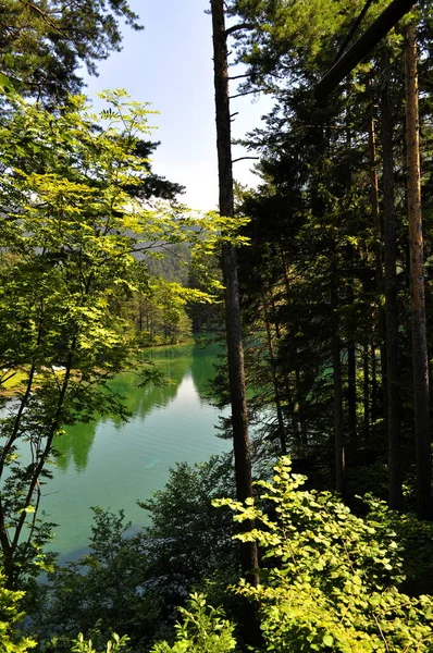 Αυστρία Fernpass Fernsteinsee Fernsteinsee Bergsee Fernpass — Φωτογραφία Αρχείου