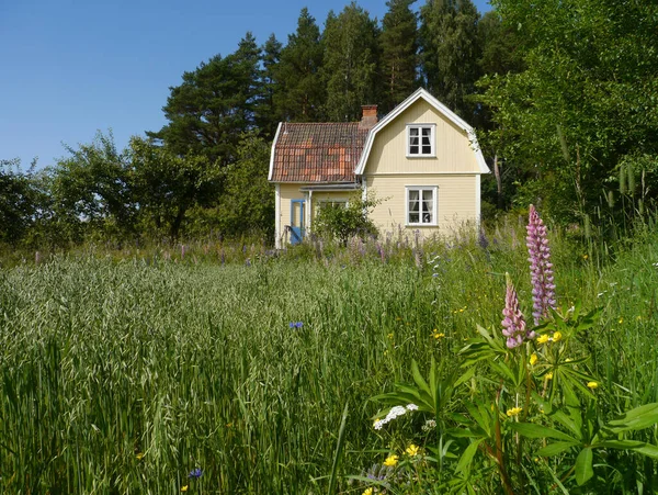 Natur Reisen Schweden Skandinavien Spiegelbild Der Stille Tourismus Küste Umwelt — Stockfoto
