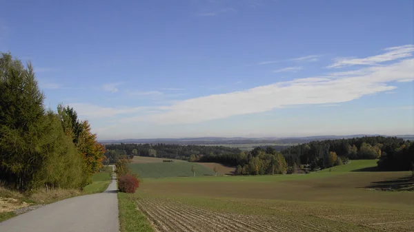 Blick Auf Die Straße Feld — Stockfoto