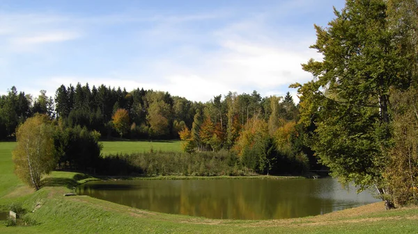 Udsigt Søen Parken - Stock-foto