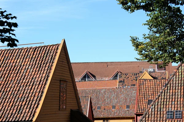 Roof Landscape Bryggen — Stock Photo, Image