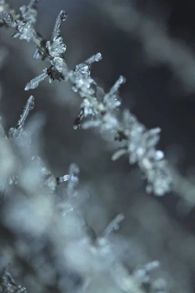 凍る雨の後 — ストック写真