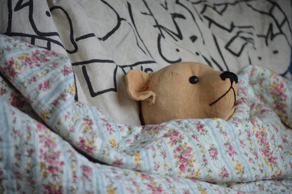 teddy bear in bed with a toy
