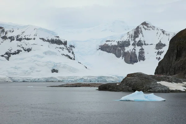 Antarktis Kälte Und Eisberg — Stockfoto