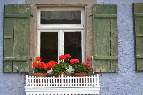 Ventana Con Flores Plantas — Foto de Stock