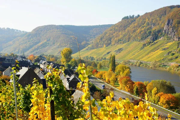 Vale Moselle Com Aldeia Vinho Burg Outono — Fotografia de Stock