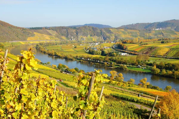 Mosela Río Que Fluye Través Francia Luxemburgo Alemania — Foto de Stock