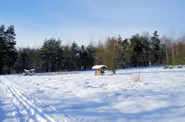Caminho Pistas Esqui Através Uma Paisagem Inverno Dia Ensolarado Com — Fotografia de Stock