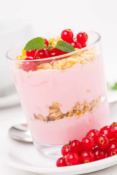 Yoghurt Lekker Dessertvoedsel — Stockfoto