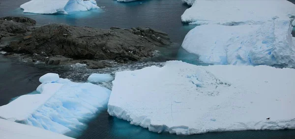 Antarctic Paradise Bay Antártica — Fotografia de Stock