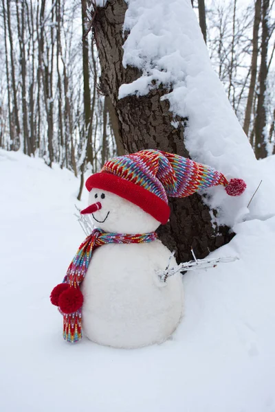 Bonhomme Neige Avec Capuche Écharpe Dans Paysage Hivernal — Photo