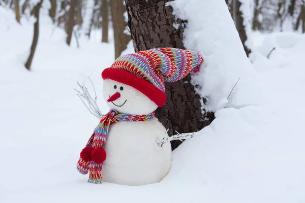 Boneco Neve Com Capuz Cachecol Paisagem Invernal — Fotografia de Stock