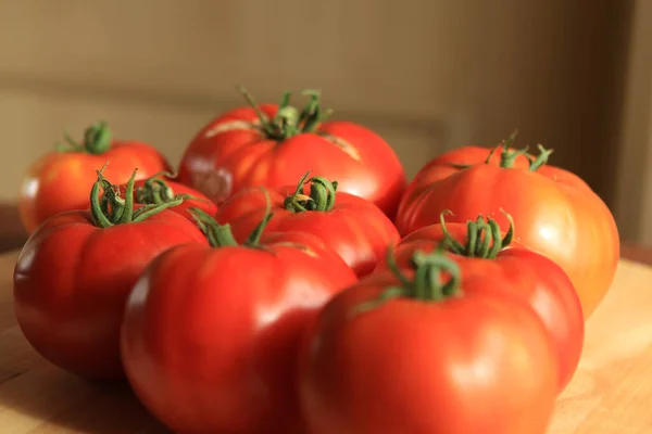 Tomates Nosso Próprio Cultivo — Fotografia de Stock