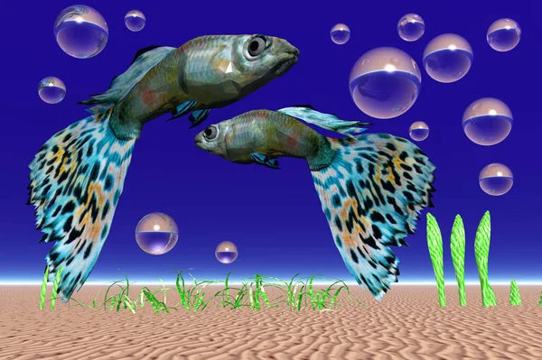ภาพของปลาในอควาเร — ภาพถ่ายสต็อก