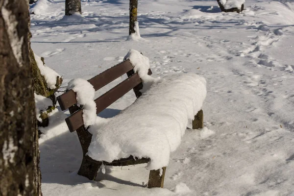 Schnee Bedeckt Mit Einem Zaun — Stockfoto