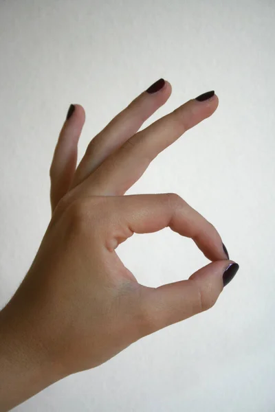 Hand Woman Showing Something White Background — Stock Photo, Image