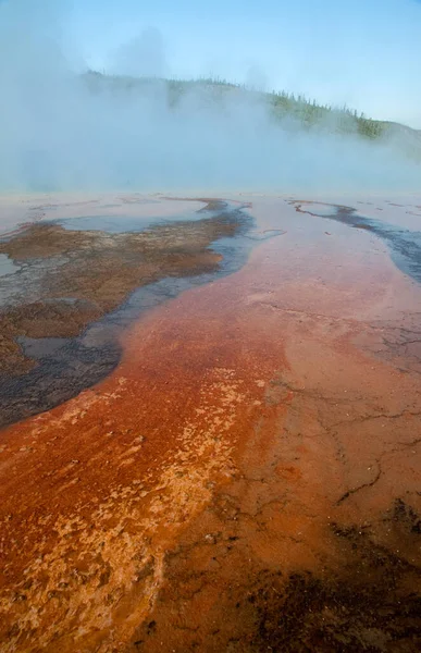 hot thermal springs in yellowstone national park