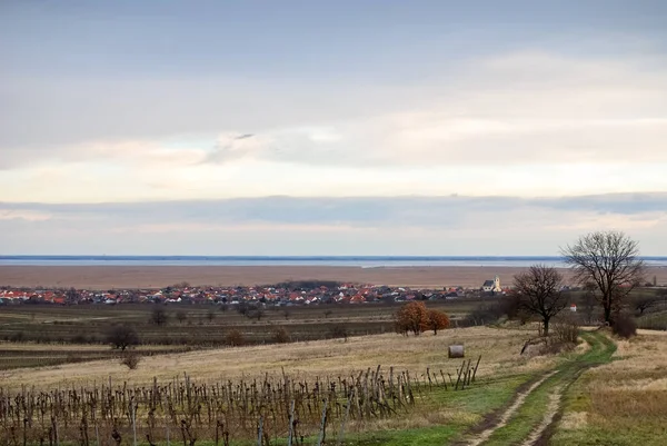 Landschap Aan Het Meer Neusiedler — Stockfoto