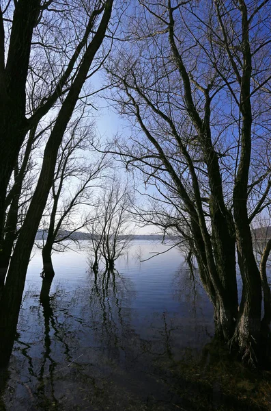 Přírodní Rezervace Chráněná Oblast Významem Pro Flóru Faunu — Stock fotografie