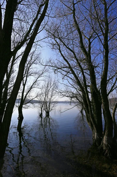 Naturschutzgebiet Ist Ein Schutzgebiet Von Bedeutung Für Flora Und Fauna — Stockfoto