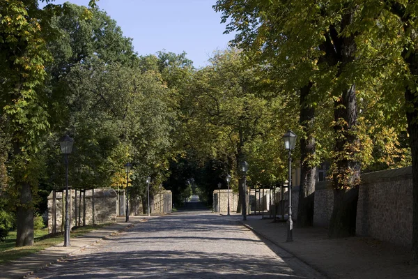 Vista Para Parque Wermsdorf — Fotografia de Stock